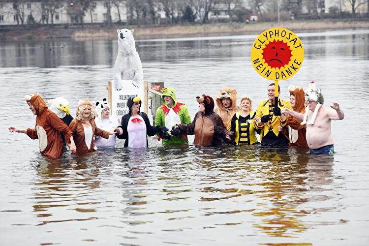 Winterschwimmen der Berliner Seehunde 2018