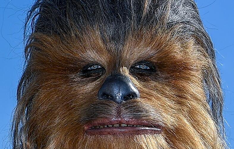 Chewbacca