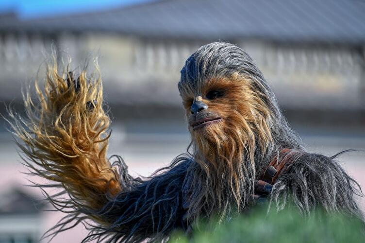 Chewbacca