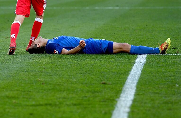 Losilla auf dem Rasen