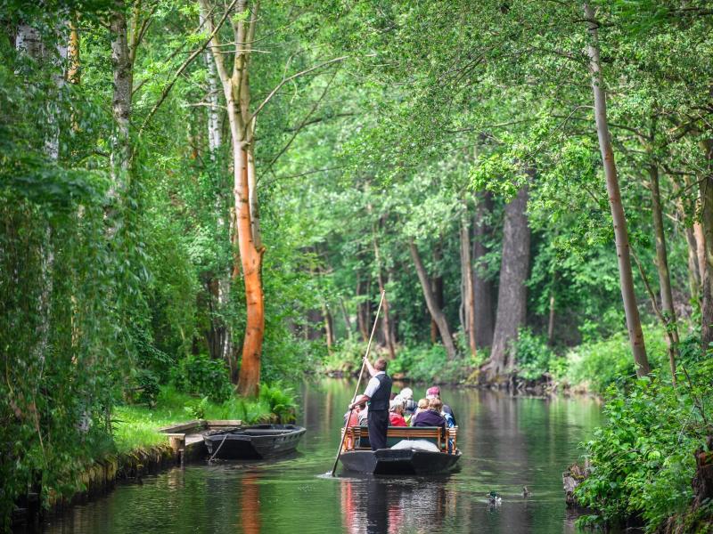 Holzkahn im Spreewald