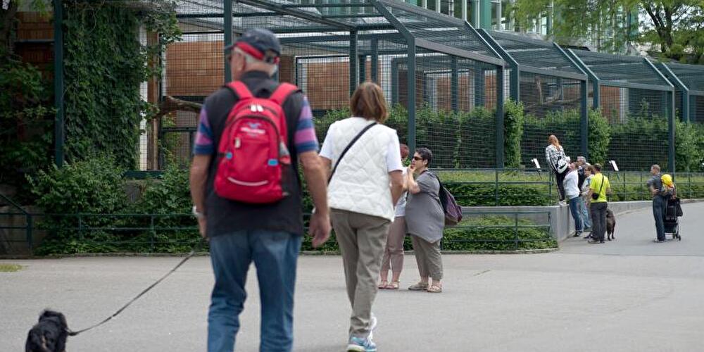 Besucher im Tierpark