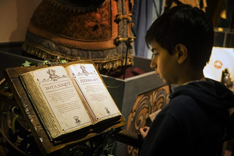 Bücher aus der Hogwarts Bibliothek