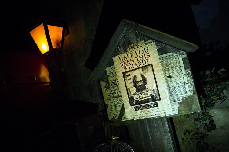 Poster von Sirius Black