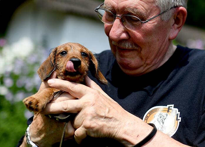 Berliner Dackeltreffen