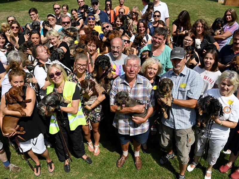 Berliner Dackeltreffen