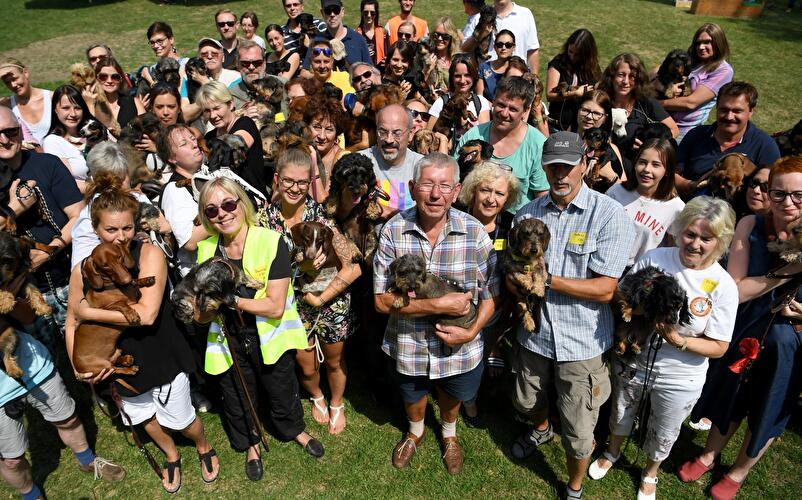 Berliner Dackeltreffen