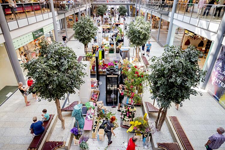 Deutsche Meisterschaft der Floristen 2018