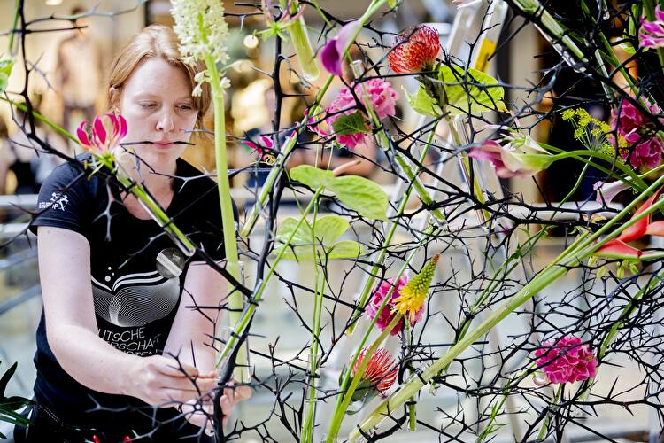 Deutsche Meisterschaft der Floristen 2018