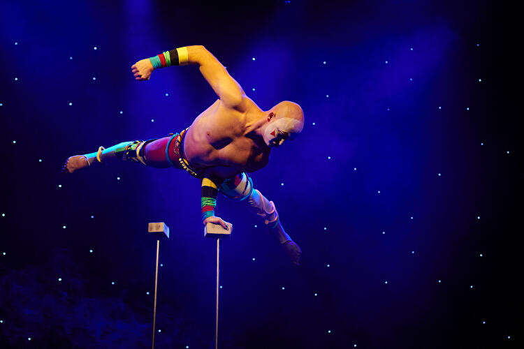 Staunen - Circus of Stars
