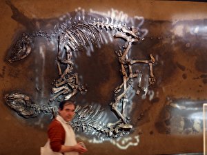 Bewegte Zeiten. Archäologie in Deutschland