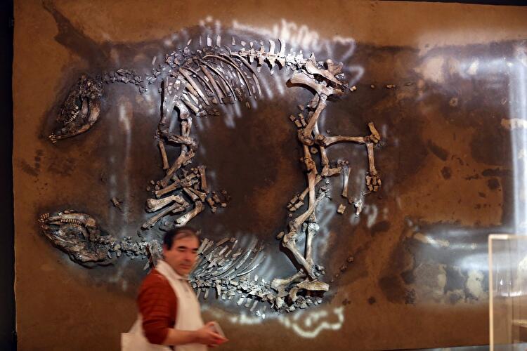 Bewegte Zeiten. Archäologie in Deutschland