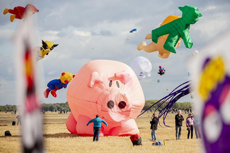 Festival der Riesendrachen