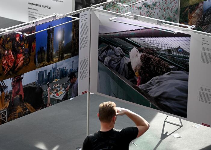 World Press Photo 2018