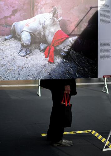 World Press Photo 2018