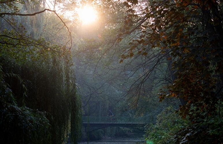 Herbst in Berlin