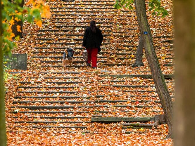 Herbst in Berlin