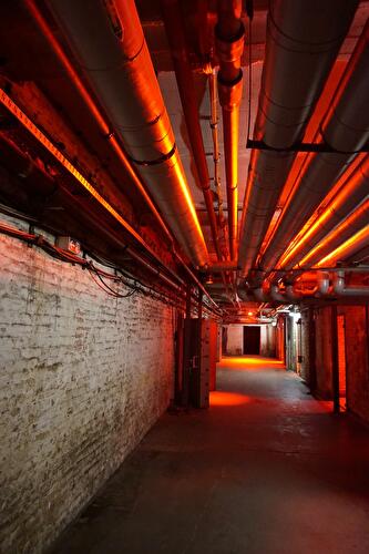 Art Light Weekend: Extended Mind