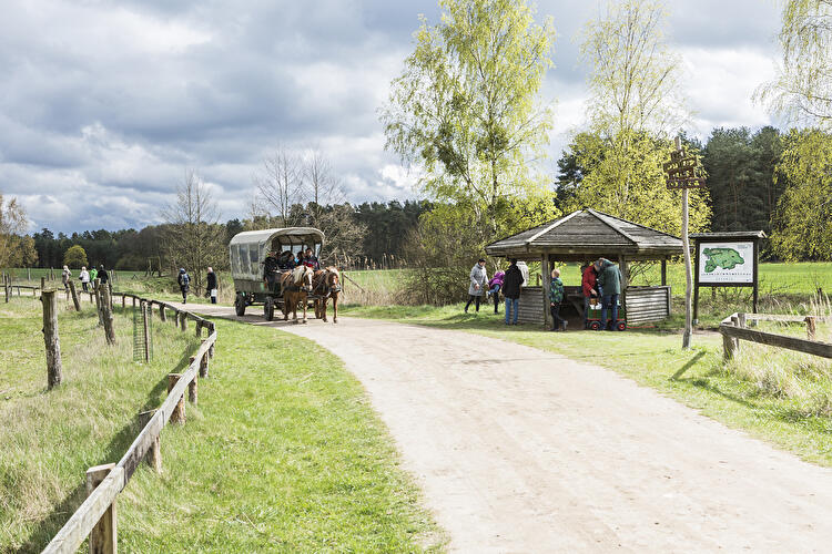 Wildpark Schorfheide