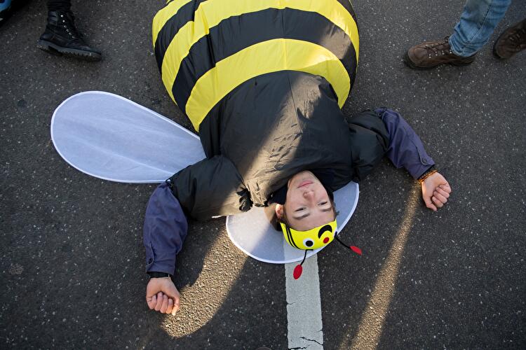 Demonstration für Agrarwende