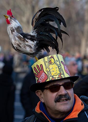 Demonstration für Agrarwende