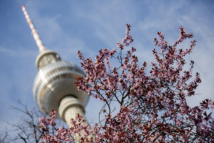 Frühling in Berlin 2019
