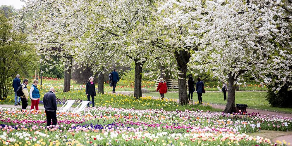 Frühling in Berlin