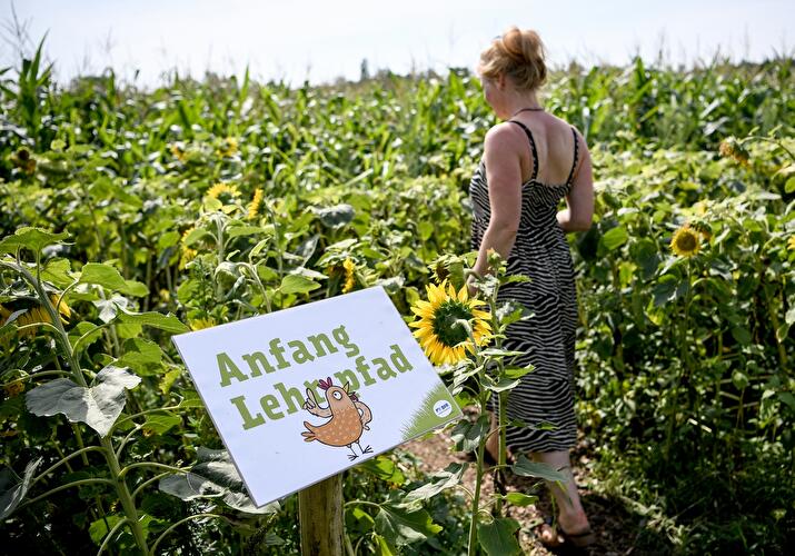 Interaktives Pflanzenlabyrinth BfR-Eiland