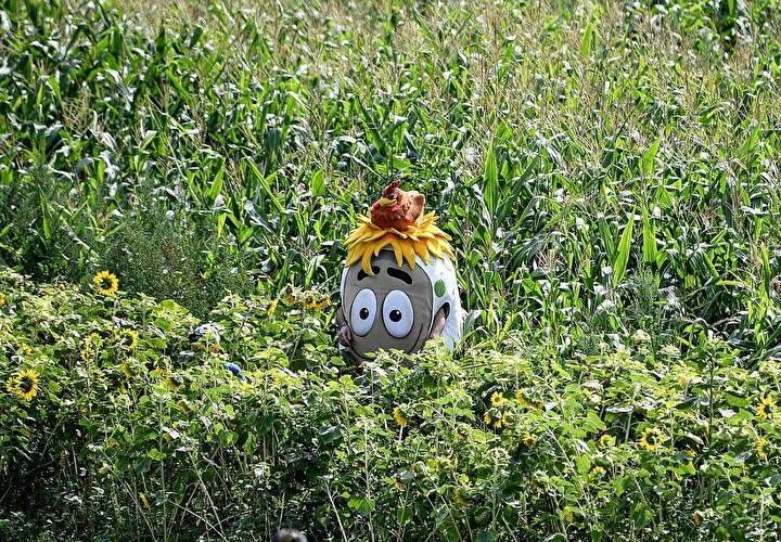 Interaktives Pflanzenlabyrinth BfR-Eiland