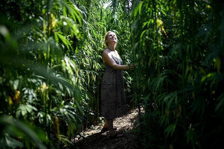 Interaktives Pflanzenlabyrinth BfR-Eiland