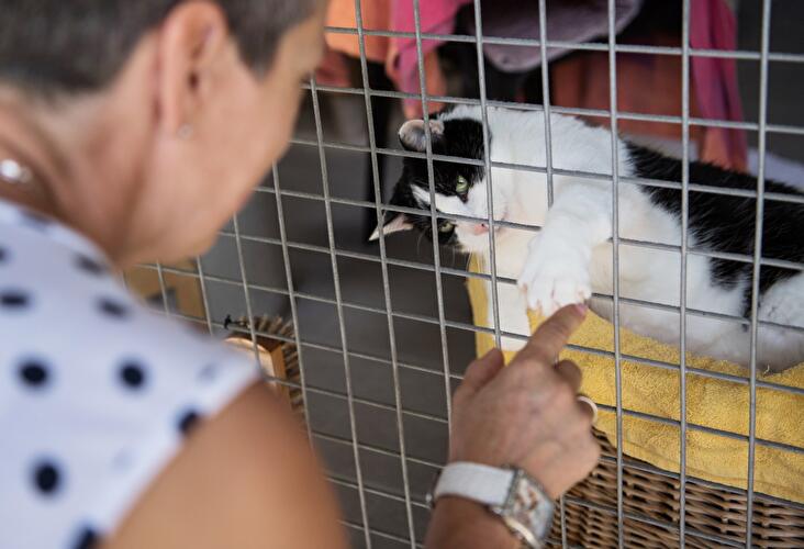Tag der offenen Tür am Tierheim Berlin