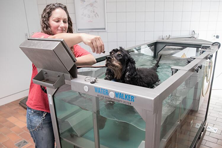 Tag der offenen Tür am Tierheim Berlin