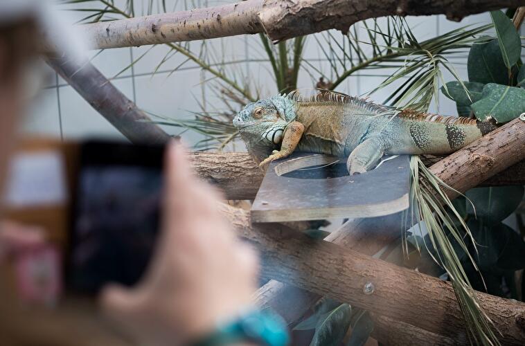 Tag der offenen Tür am Tierheim Berlin