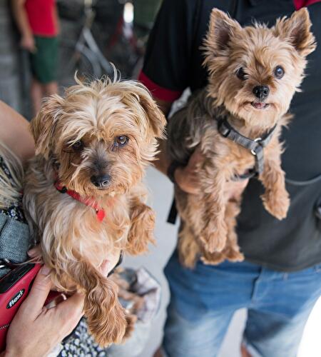 Tag der offenen Tür am Tierheim Berlin
