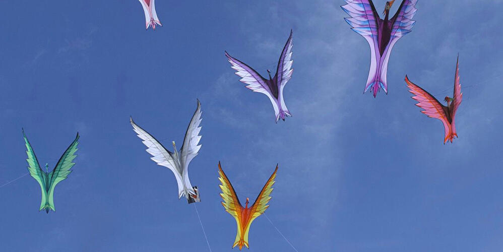 Mehrere Drachen fliegen am blauen Himmel