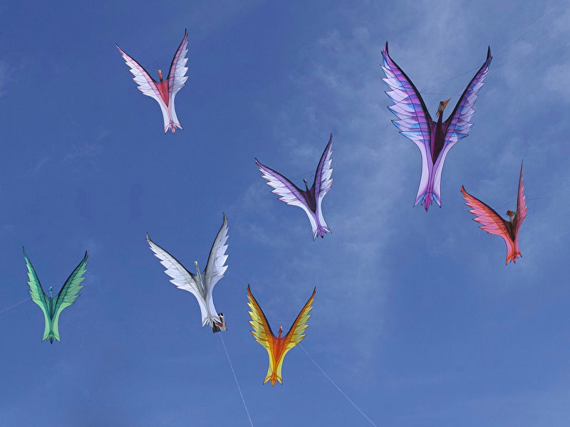Mehrere Drachen fliegen am blauen Himmel