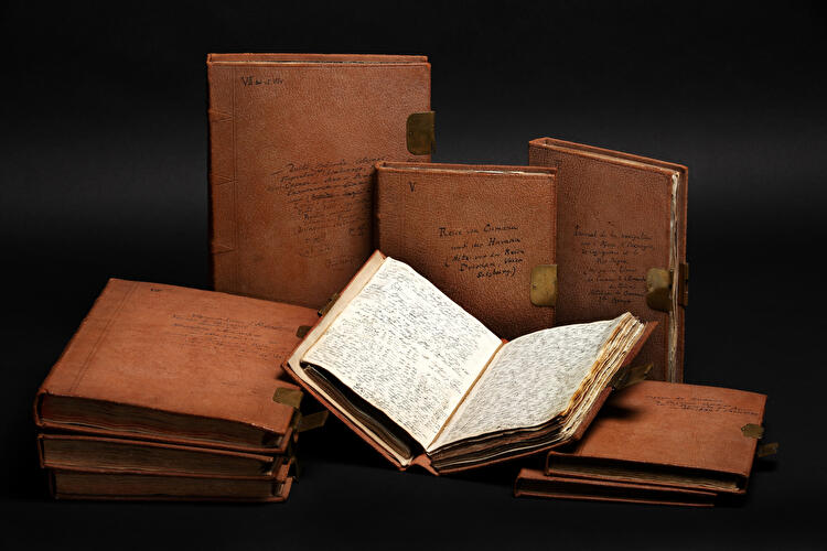 Reisetagebücher von Alexander von Humboldt