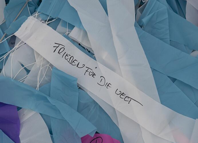 Visions in Motion (2)