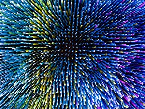 Visions in Motion (2)