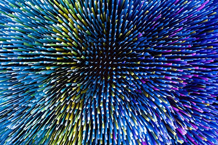 Visions in Motion (2)