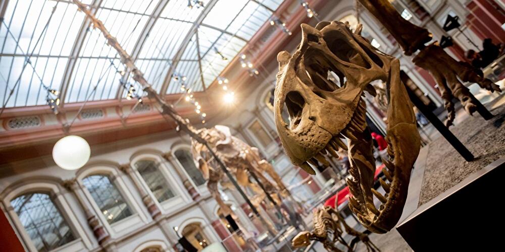 Berliner Naturkundemuseum