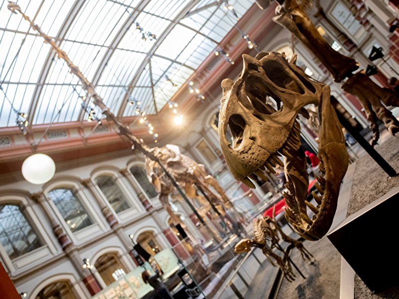 Berliner Naturkundemuseum