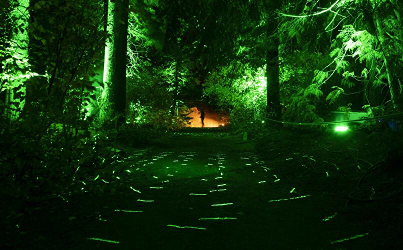 Christams Garden 2019 (3)