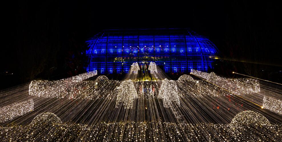 Christams Garden 2019