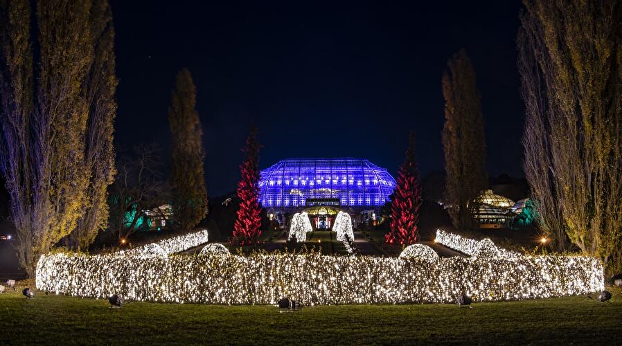 Christams Garden 2019 (1)