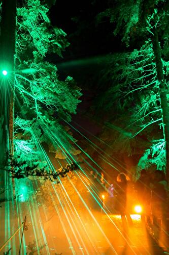 Christmas Garden 2019 (9)