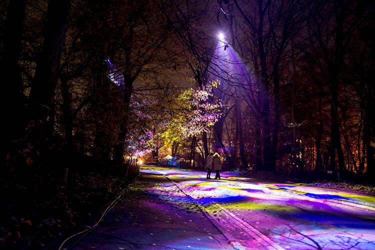 Christmas Garden 2019 (18)