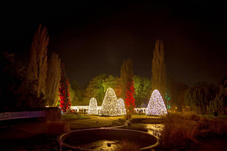 Christmas Garden 2019 (3)