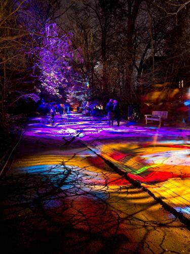 Christmas Garden 2019 (1)