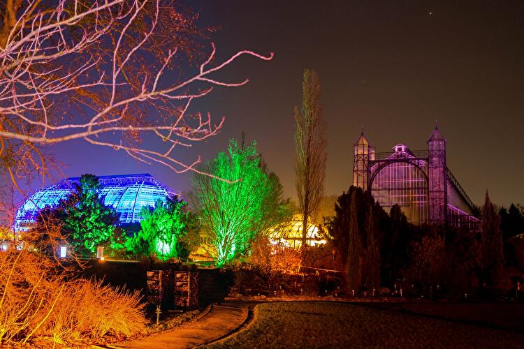 Christmas Garden 2019 (8)